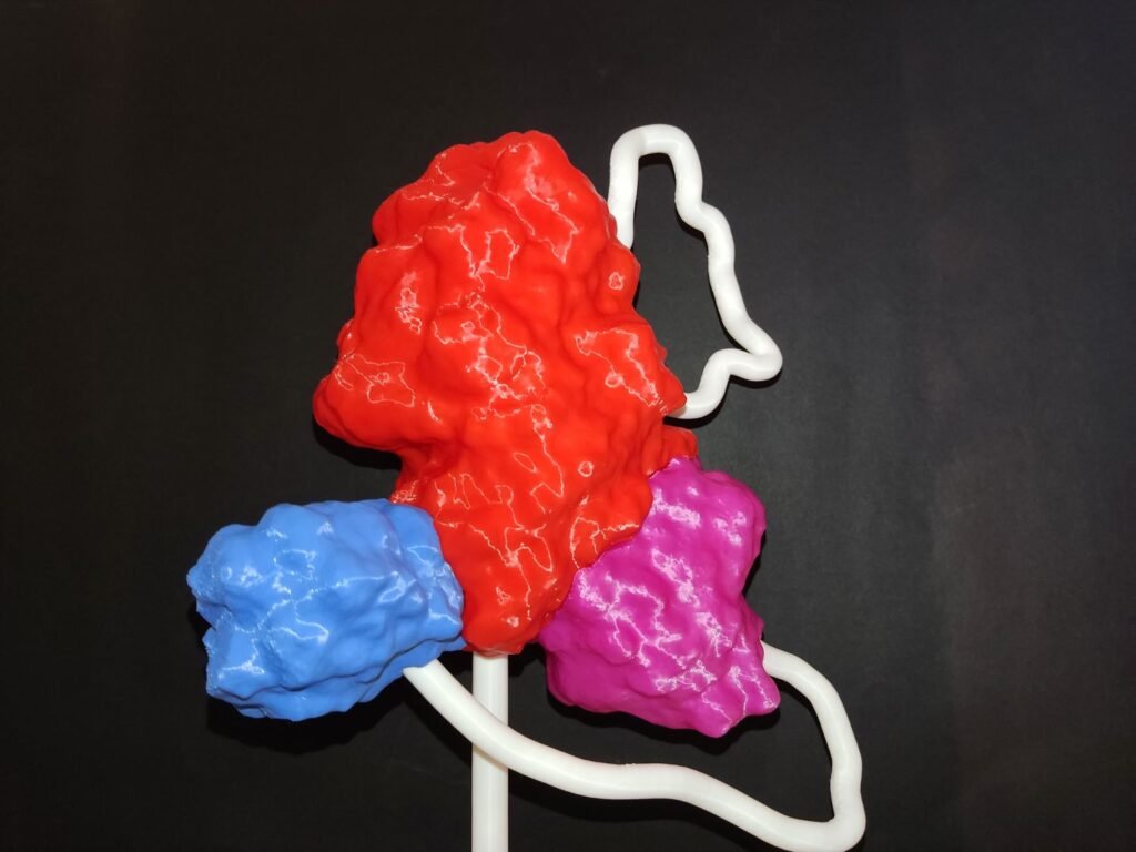 3d tisk ve zdravotnictví jako replika